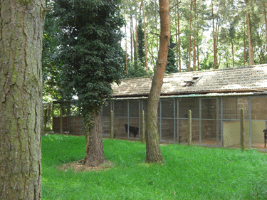 Kennels in Norfolk Woodland Meadows