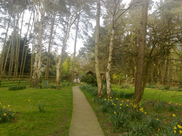 Wodland Meadows is a family run boarding kennels in Norfolk in the UK